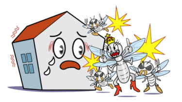 京都でシロアリが気になるときの正しい判断のしかたを徹底解説！